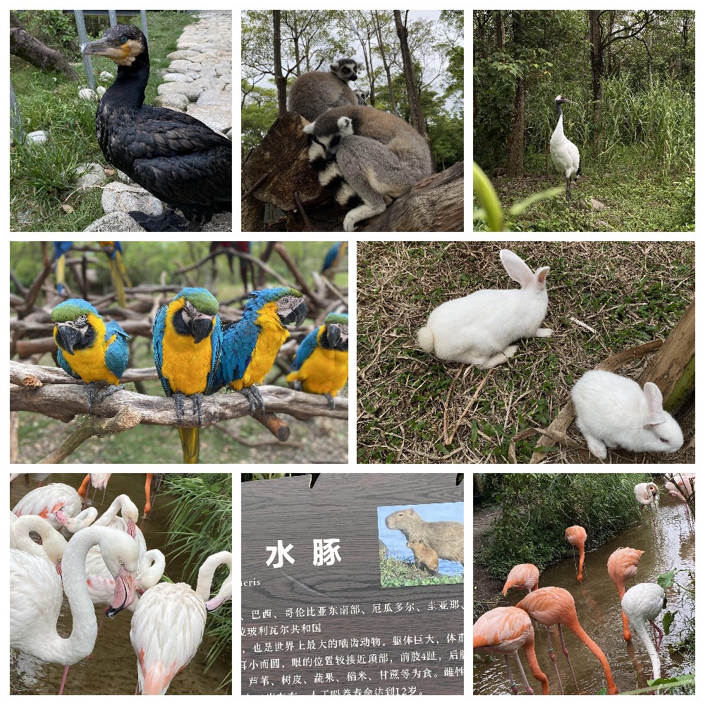 厚積薄發(fā)，蓄力前行：大手牽小手，共圓實佳夢